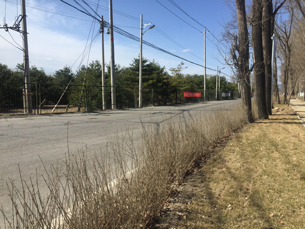 公司门前道路